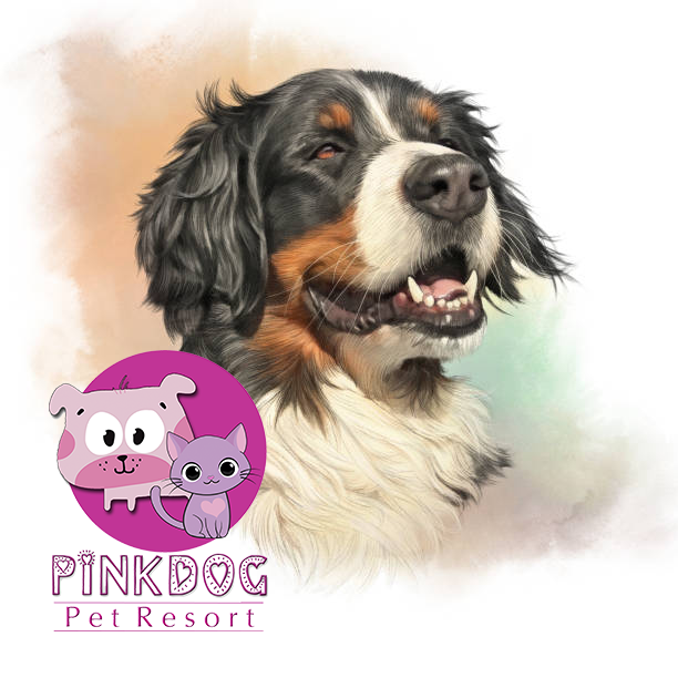 https://pinkdogpetresort.com/wp-content/uploads/2023/01/istockphoto-1128030554-612x612-3.png